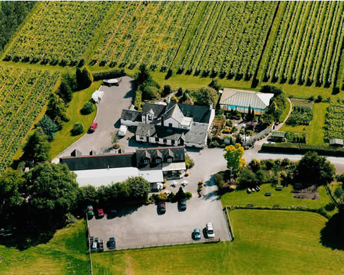 Llanerch Vineyard